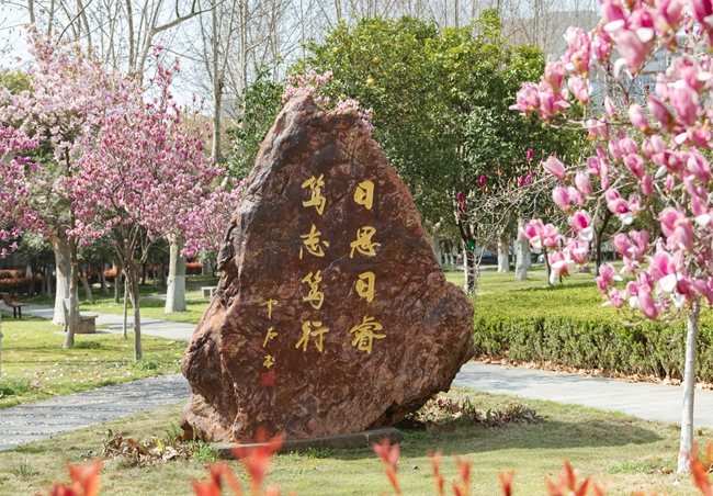 湖北大学：与时俱进办学 扎根荆楚育人